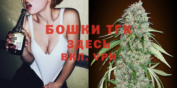 ГАЛЛЮЦИНОГЕННЫЕ ГРИБЫ Лагань